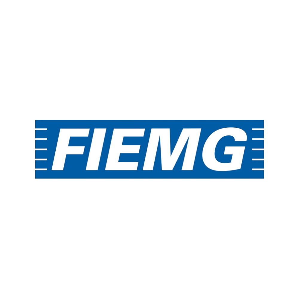FIEMG